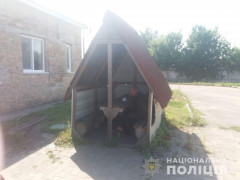 У Борисполі зловмисник напав на чоловіка з інвалідністю та поцупив його телефон (ФОТО)