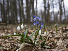 Погода на Київщині та у столиці 15-го березня