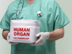 В Україні можуть дозволити трансплантацію органів від нерідного донора