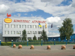 Дружина власника "Гаврилівські курчата": за ситуацію, яка склалася, вину несе "Київобленерго"