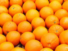 Під Києвом знищили 22 тонни апельсинів через личинку мухи