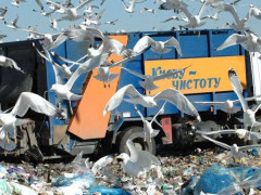 У Підгірцях заблокований полігон побутових відходів може призвести до екологічної катастрофи