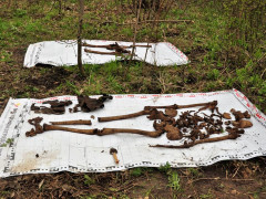 У Березані з почестями перепоховають останки 22-ох воїнів Другої світової