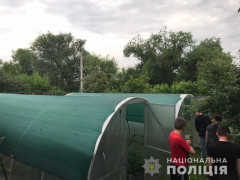 У Бучі чоловік побудував парник для вирощування коноплі (ФОТО)