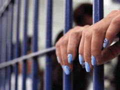 Шахрайки у Білій Церкві викрали паспорт п’яниці й приватизували квартиру