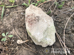 У Білогородці водій каменем побив випадкового попутника і забрав цінні речі