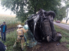 Під Тетієвом "спринтер" влетів у дерево (ВІДЕО)
