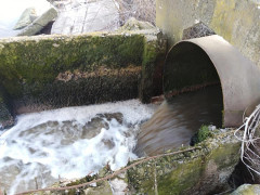 У мережі повідомили про злив нечистот у річку Рось (ФОТО)
