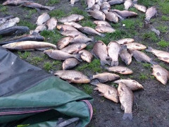 У Бориспільському районі затримали рибного браконьєра на човні  (ФОТО) 