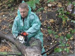 В Адміністрації президента прокоментували звільнення Горгана