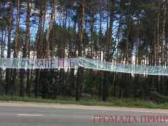 У Гостомелі продовжується незаконна вирубка лісу: поліція вилучила 8 бензопил (ФОТО, ВІДЕО)