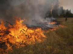 Під столицею біля траси сталася масштабна пожежа (ВІДЕО) 