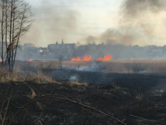 У Тетієві сталася пожежа в ландшафтному заказнику "Лебединий" (ФОТО)