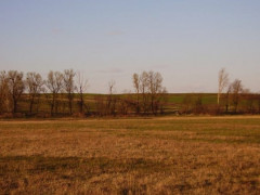 У Володарському районі сільська громада залишилася без пасовища