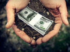 Національний банк продає земельні ділянки під Борисполем
