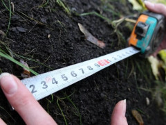 У Софіївській Борщагівці підприємець захопив землю Служби автомобільних доріг