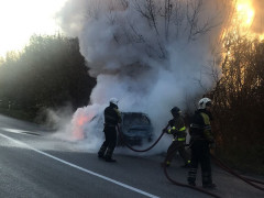 У Сквирському районі згорів автомобіль (ВІДЕО)
