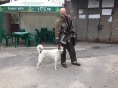 У Білій Церкві врятували собаку 