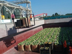 До Переяслава прибудуть ще дві баржі з херсонськими кавунами