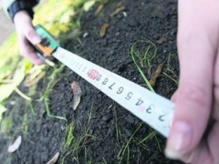 На Згурівщині прокуратура передала громаді 32 гектари землі померлих власників