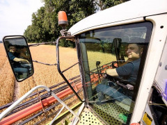 Гройсман покатався на комбайні в Київській області (ФОТО)