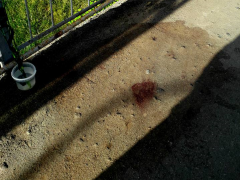 У поліції замовчують жорстоке вбивство чоловіка в Боярці, - соцмережі