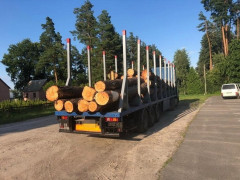 На Київщині під час отримання 26 тис. грн хабара затримано співробітника Фастівського лісгоспу (ФОТО)