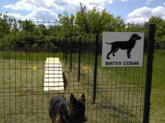 Ще 400 тисяч гривень на майданчик для собак у Ірпені