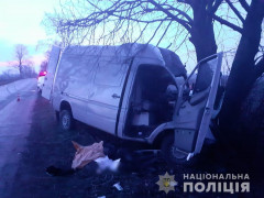 У Миронівському районі в результаті ДТП загинуло двоє людей