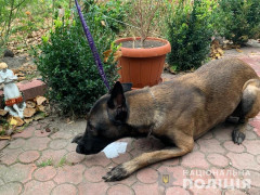 У Васильківському районі правоохоронці шукали наркотики (ФОТО)