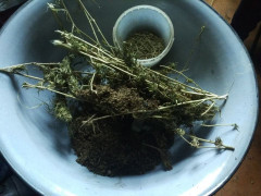 У Немішаєвому поліція провела обшуки у будинку наркомана (ФОТО)