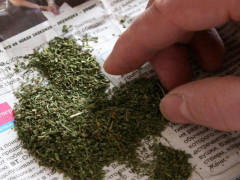 У п'ятьох білоцерківчан вилучили коноплю