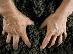 У мережі розповіли, як чиновники нахабно "віджимають" землю на Обухівщині (ВІДЕО)