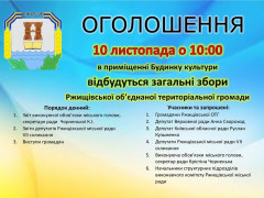 На зборах Ржищівської ОТГ заслухають звіт Чорненької