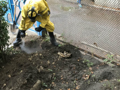 Рятувальники знешкодили осине гніздо в дитячому садочку Білої Церкви