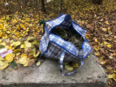 На Переяславщині зупинили чоловіка з повною сумкою коноплі