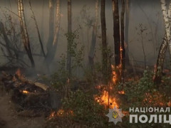 Мстиву жінку підозрюють у підпалі Чорнобильської зони