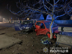 Жертвою ДТП на Васильківщині стало дев’ятимісячне маля