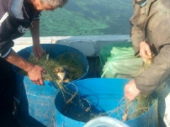 На Київщині браконьєр наловив риби на 44 тисячі (ФОТО)