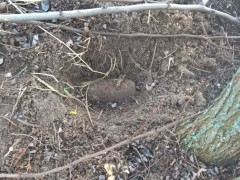 У Сквирському районі знайшли вибухонебезпечний предмет 