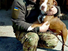 У ДТП загинув військовий 72-ї ОМБР, що їхав на власне весілля