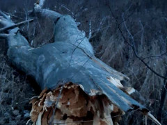 У Борисполі через вітряну погоду половина міста залишилася без електроенергії