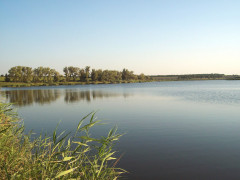 У Бориспільському районі повернули землю вартістю 38 млн грн 
