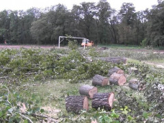 Спортивна інфраструктура Київщини: гроші в пісок