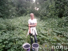 Жителька Поліського району збирала радіоактивну чорницю на продаж