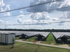У Студениківській ОТГ відкрили сонячну електростанцію на покрівлі звіроферми