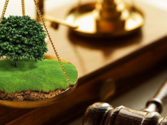 На Переяславщині підприємство намагалось приватизувати землі громади