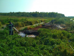 На Бородянщині горіли торф’яники