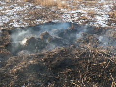 В Ірпені  біля залізничного мосту загорівся торф