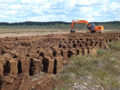 В Ірпені чоловік незаконно видобував торф